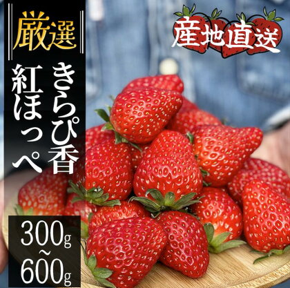 完熟紅ほっぺ いちご 生いちご 2パック 4パック 600g 1200g STRAWBERRY FARM ITODA 地元JA品評会金賞受賞 国産 完熟 スムージー ジャム ヨーグルト 一口サイズ イチゴ 紅ほっぺ 苺 果物 フルーツ 静岡 いちご 旬 甘い