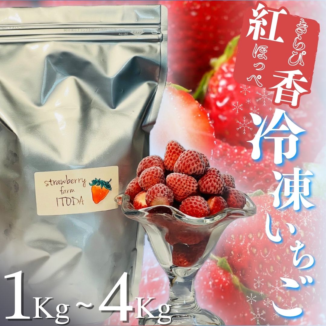 【ふるさと納税】 冷凍イチゴ 1kg 苺