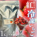 【ふるさと納税】 冷凍イチゴ 1kg 苺