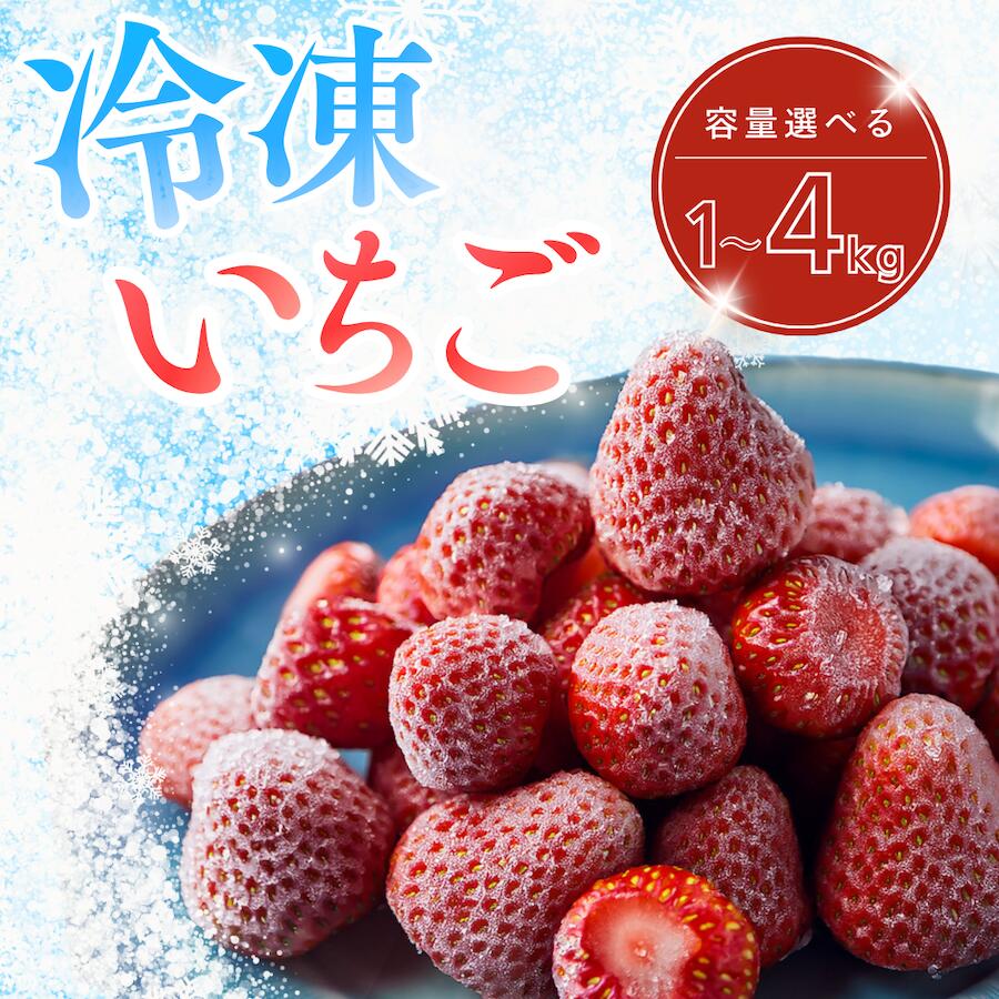 冷凍イチゴ 1kg 2kg 3kg いちご 果物 くだもの フルーツ 苺 イチゴ いちご 紅ほっぺ べにほっぺ 静岡県 南伊豆町 限定出荷 ふるさと納税 苺 ふるさと苺 ブランド苺 旬 産地 直送