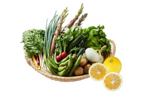 【ふるさと納税】湯の花　旬の野菜と果物セット3か月の定期便