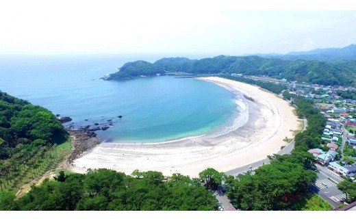 【ふるさと納税】旅行券 温泉 旅行 海水浴 体験 飲食店 チケット 南伊豆町 温泉 キャンプ 旅館 民宿 チケット 商品券 75枚 75,000円相当 ふるさと寄附感謝券75枚 トラベル お食事券 お土産 おみやげ 観光 全国旅行支援 併用可能 3