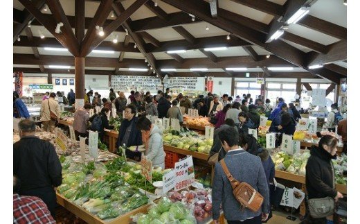 【ふるさと納税】旬野菜 お楽しみ 詰め合わせ 春夏秋冬 野菜 旬 おまかせ 新鮮 やさい レシピ付き 静岡県 南伊豆町 送料無料 湯の花 旬の野菜セット