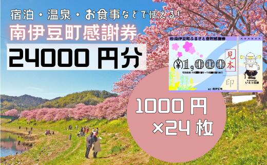 【ふるさと納税】旅行券 温泉 旅行 海水浴 体験 飲食店 チケット 南伊豆町 温泉 キャンプ 旅館 民宿 チ..