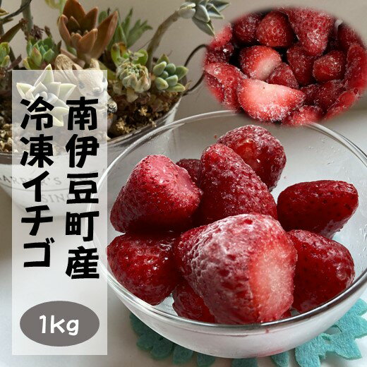 【ふるさと納税】南伊豆産冷凍イチゴ 1kg 冷凍いちご 国産 スムージー ジャム ヨーグルト 一口サイズ イチゴ 完熟 紅ほっぺ 苺 果物 フルーツ 静岡 冷凍 いちご 南伊豆ファーム･･･