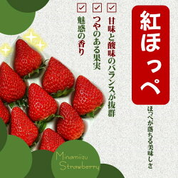 【ふるさと納税】訳あり 先行予約 送料無料 イチゴ 紅ほっぺ 加工用イチゴ バラ詰め 果物 フルーツ 1.7kg（6.5パック相当）（2021年静岡県いちご果実品評会入賞） いちご 苺 静岡 南伊豆･･･ 画像2