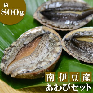 【ふるさと納税】あわび アワビ 鮑 800g 天然 活 魚介 海産 海鮮 産地直送 BBQ バーベキュー 送料無料 伊豆 静岡 臼竹商店 あわびセット