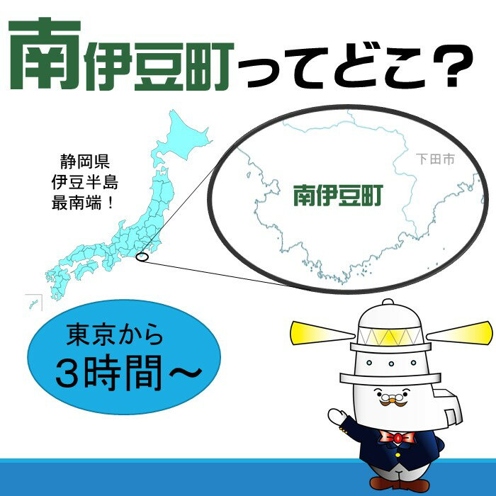 【ふるさと納税】静岡県南伊豆町の対象施設で使える楽天トラベルクーポン 寄付額3,000円その2