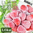 【ふるさと納税】期間限定 特別価格 送料無料 冷凍国産イチゴ 1600g 1.6kg 国産 完熟 スムージー ジャム ヨーグルト 一口サイズ イチゴ 完熟 紅ほっぺ 苺 果物 フルーツ 静岡 冷凍 いちご BabyBerryFarm･･･