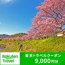 19位! 口コミ数「0件」評価「0」静岡県南伊豆町の対象施設で使える楽天トラベルクーポン 寄付額9,000円