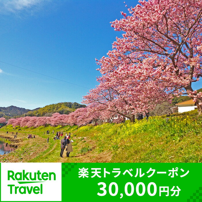 21位! 口コミ数「1件」評価「1」静岡県南伊豆町の対象施設で使える楽天トラベルクーポン 寄付額30,000円