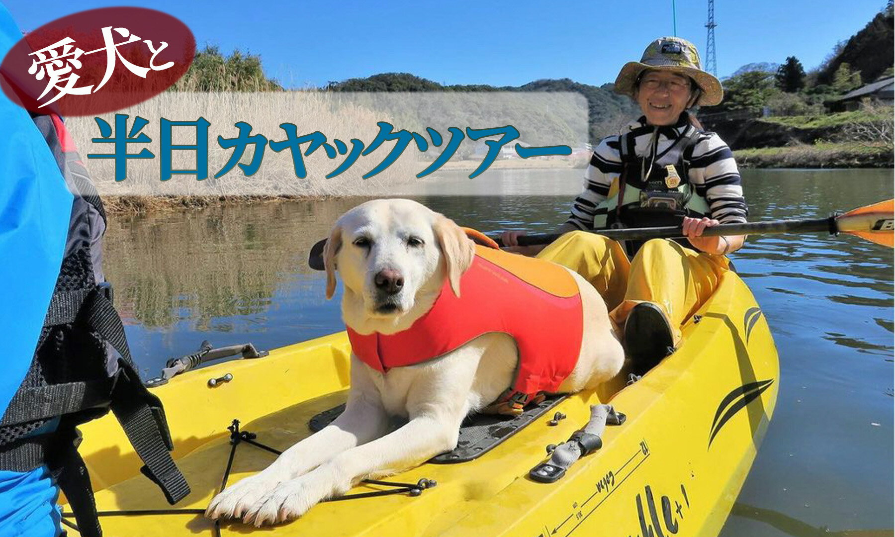 ワンちゃんと一緒にシーカヤック体験(2人、ワンちゃん1匹) カヤック kayak 犬 海 シーカヤック サマー オーシャン 夏 春 サーフィン 海遊び アウトドア レジャー レッスン 体験 インストラクター レンタル 伊豆 南伊豆 体験 アクティビティ