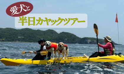 ワンちゃんと一緒にシーカヤック体験(4人、ワンちゃん1匹) カヤック kayak 犬 海 シーカヤック サマー オーシャン 夏 春 サーフィン 海遊び アウトドア レジャー レッスン 体験 インストラクター レンタル 伊豆 南伊豆 体験 アクティビティ