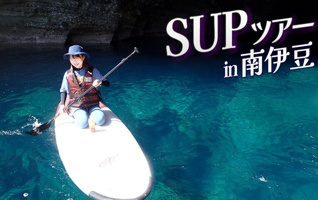 SUP体験3時間(ガイド付き)サップ 海 サマー オーシャン 夏 サーフィン 海 海遊び 海上散歩 アウトドア レジャー レッスン体験 インストラクター ボード ウエットスーツ レンタル 南伊豆 伊豆 体験ギフト プレゼント アクティビティ