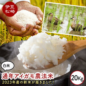 【ふるさと納税】山芳園 天日干し 通年合鴨農法米 うるち米 白米 20kg