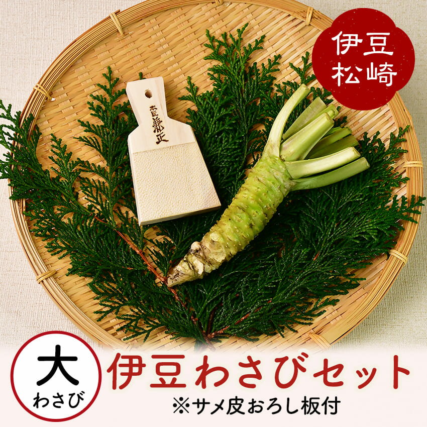 調味料(生わさび)人気ランク1位　口コミ数「10件」評価「4.7」「【ふるさと納税】伊豆のわさびセットE わさび セット おろし板 wasabi 生わさび 世界農業遺産 山葵 ギフト 通販」