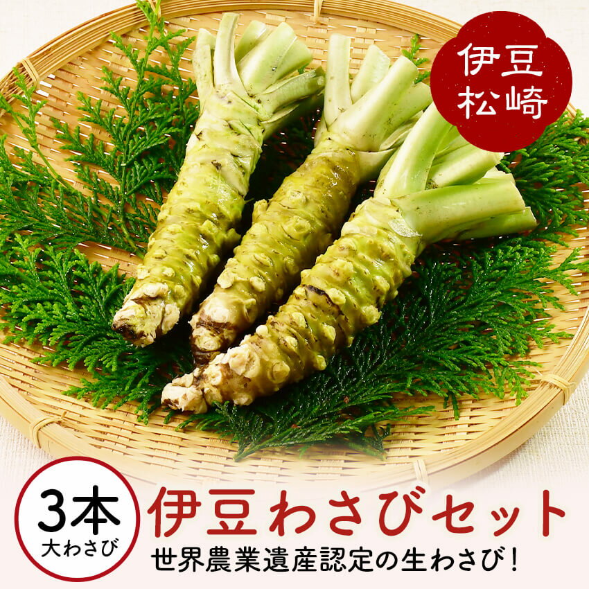 17位! 口コミ数「0件」評価「0」伊豆のわさびセットF わさび セット wasabi 生わさび 世界農業遺産 山葵 ギフト 通販