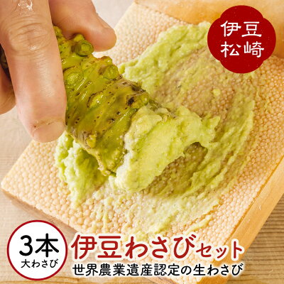 楽天ふるさと納税　【ふるさと納税】伊豆のわさびセットF わさび セット wasabi 生わさび 世界農業遺産 山葵 ギフト 通販