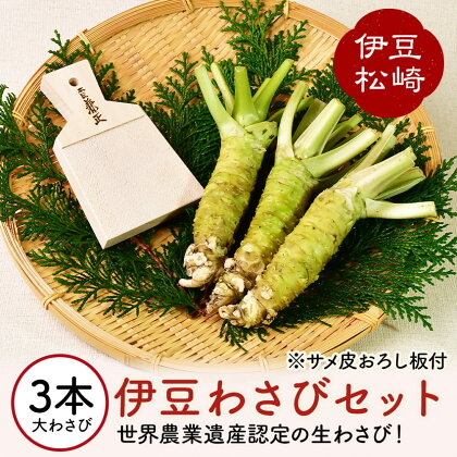 伊豆のわさびセットG わさび セット おろし板 wasabi 生わさび 世界農業遺産 山葵 ギフト 通販