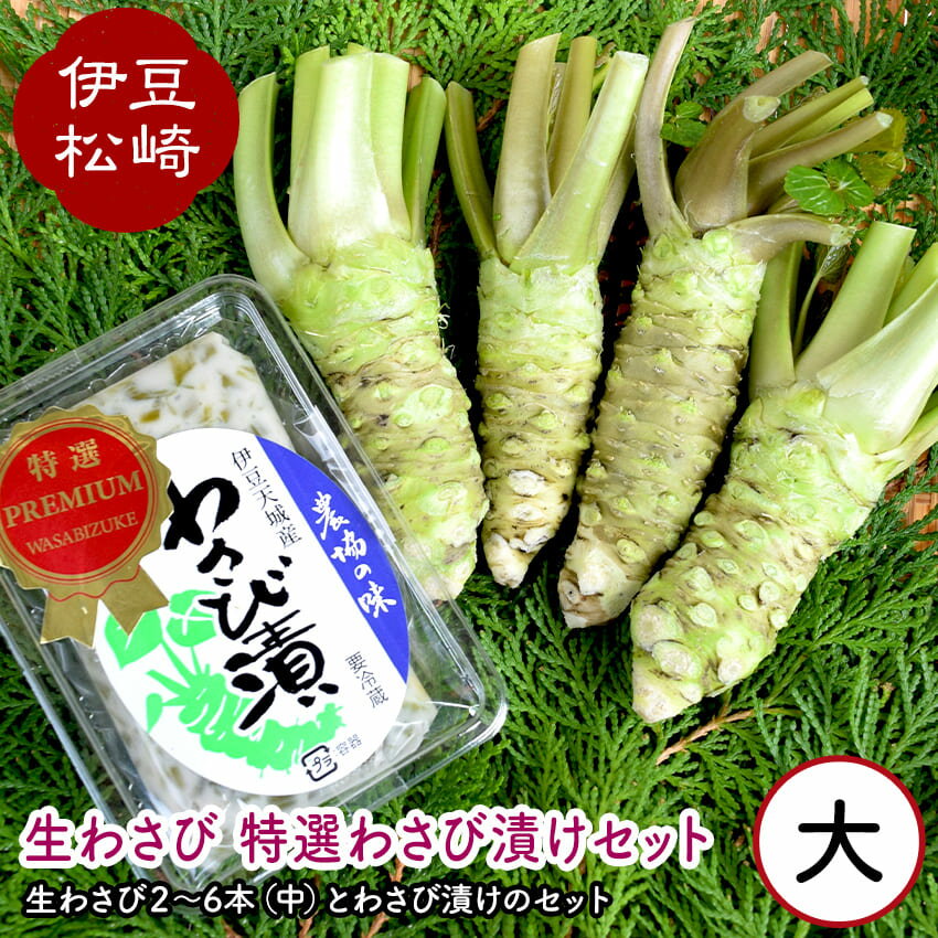 生わさび 特選わさび漬けセット2 わさび セット wasabi 本わさび わさび漬 通販