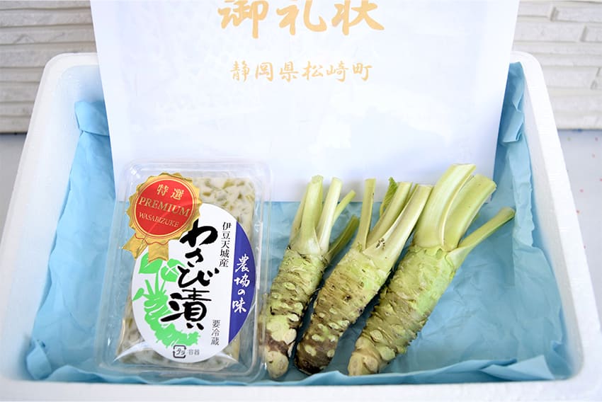 【ふるさと納税】生わさび 特選わさび漬けセット1 わさび セット wasabi 本わさび わさび漬 通販