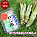 生わさび 特選わさび漬けセット1 わさび セット wasabi 本わさび わさび漬 通販