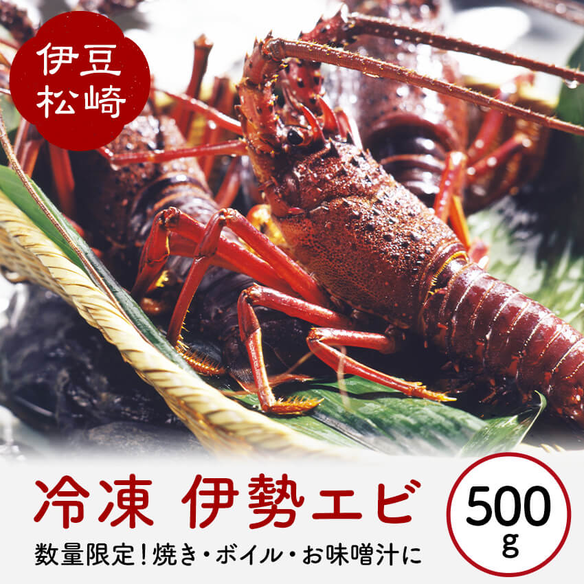 15位! 口コミ数「1件」評価「5」冷凍 伊勢海老 500g