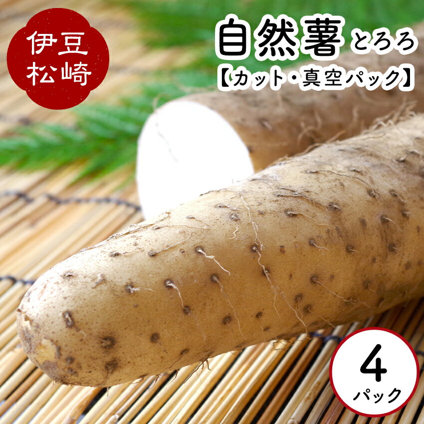 【ふるさと納税】婆娑羅農産 自然薯 カット 4パック