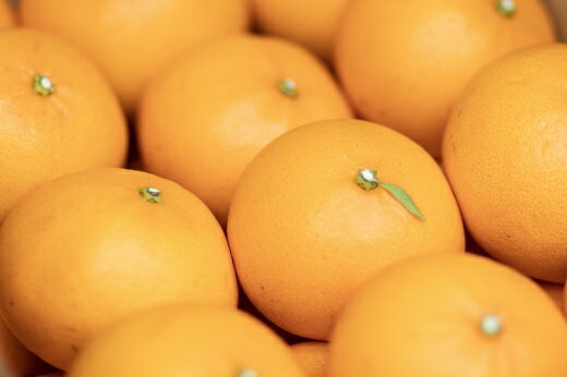 静岡県松崎町の画像2