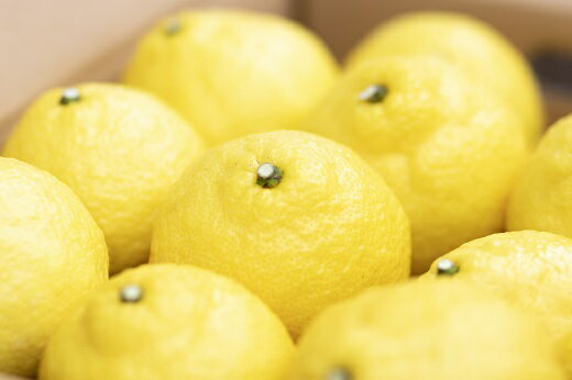 静岡県松崎町の画像2