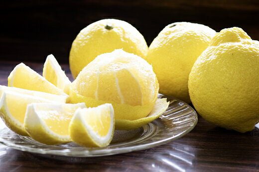 静岡県松崎町の画像3