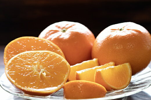 静岡県松崎町の画像3