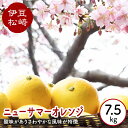 21位! 口コミ数「1件」評価「3」婆娑羅農産 ニューサマーオレンジ 7.5kg 日向夏 小夏 オレンジ みかん 伊豆 お取り寄せ