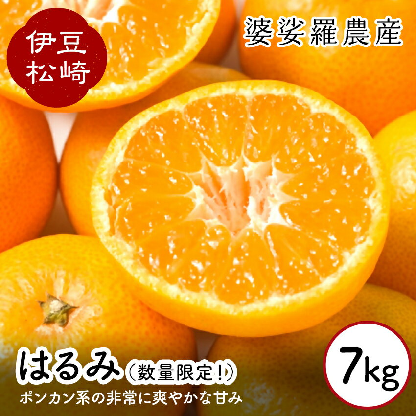 婆娑羅農産 はるみ 7kg