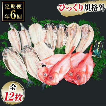 ひもの 金目鯛 鯵 ほっけ さば 伊豆 藤文の「びっくり規格外セット定期便」（年6回）