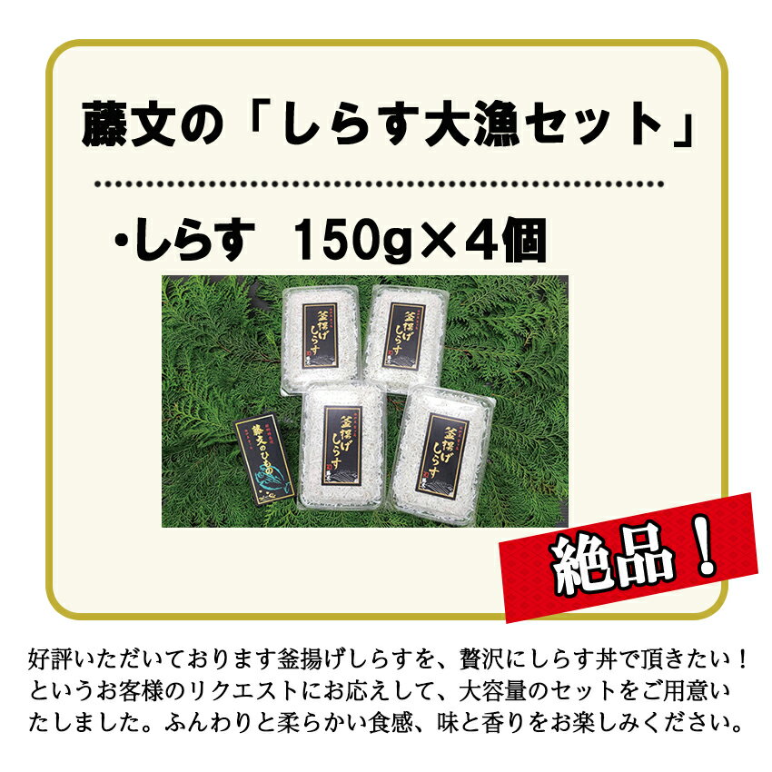 【ふるさと納税】 釜揚げ 大漁 しらす大容量 駿河湾産 ギフト 御中元 御歳暮 伊豆 藤文の「しらす大漁セット」