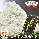 【ふるさと納税】 釜揚げ 大漁 しらす大容量 駿河湾産 ギフト 御中元 御歳暮 伊豆 藤文の「しらす大漁セット」