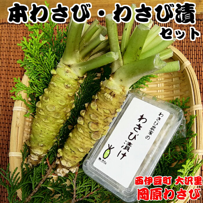  わさび 本わさび 山葵 わさび漬 刺身 そば わさび丼 薬味 伊豆 西伊豆 西伊豆町の本わさび・わさびづけセット