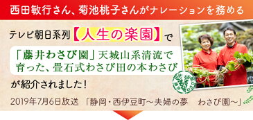 【ふるさと納税】「世界農業遺産認定」 本わさび