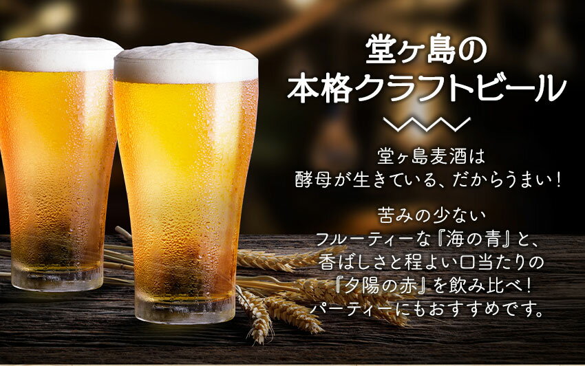 【ふるさと納税】 ビール 麦酒 地ビール 瓶 ご当地 堂ヶ島 飲み比べ クラフトビール 伊豆 西伊豆 地ビール「堂ヶ島麦酒」12本セット