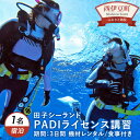 【ふるさと納税】ダイビング 西伊豆 PADIライセンス取得講習(宿泊付)田子シーランド 静岡 西海岸 マリンアクティビティ