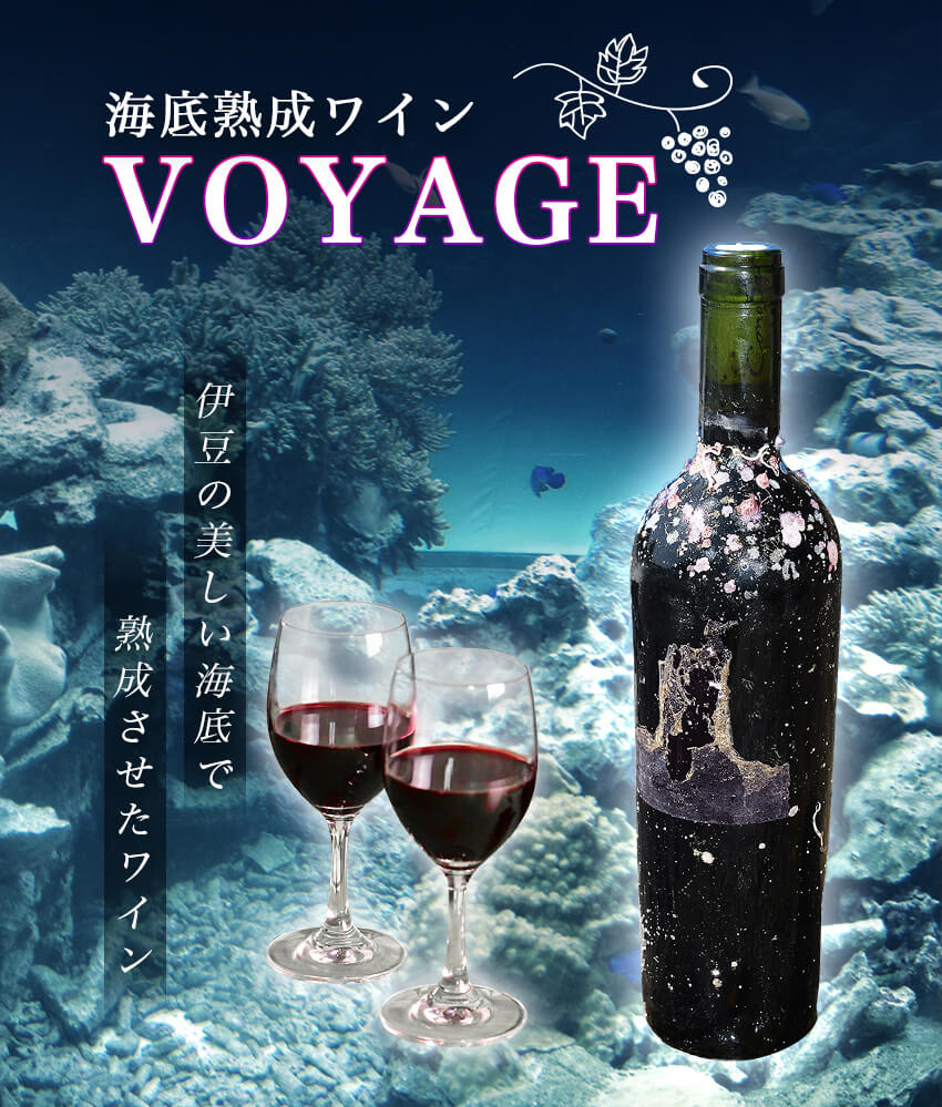 【ふるさと納税】海底熟成ワインVOYAGE【カサーレ ヴェッキオ モンテプルチャーノ ダブルッツォ　2020】