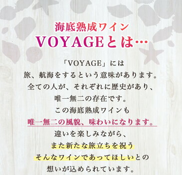 【ふるさと納税】「海底熟成ワインVOYAGE」飲み比べ4本セット