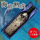 【ふるさと納税】「海底熟成ワインVOYAGE」飲み比べ4本セ