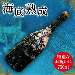 【ふるさと納税】海底熟成ワインVOYAGE【 シャンパン　白　 2010】