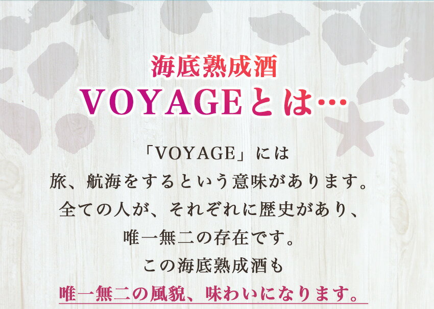 【ふるさと納税】海底熟成酒　VOYAGE【純米大吟醸　直実】