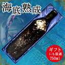 5位! 口コミ数「1件」評価「5」海底熟成ワインVOYAGE【カサーレ ヴェッキオ モンテプルチャーノ ダブルッツォ　2020】