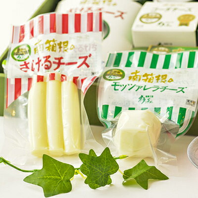 【ふるさと納税】丹那牛乳　南箱根ギフト　Aセット【配送不可地域：離島】【1036170】