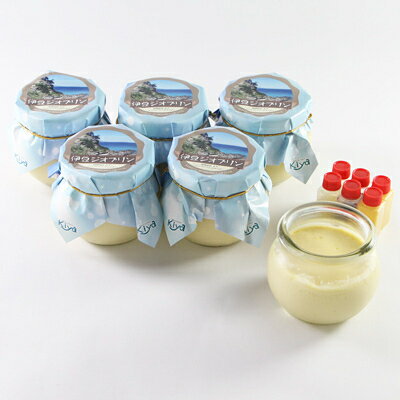 【ふるさと納税】伊豆ジオプリン12個セット【配送不可地域：離島・北海道・沖縄県】【1036213】