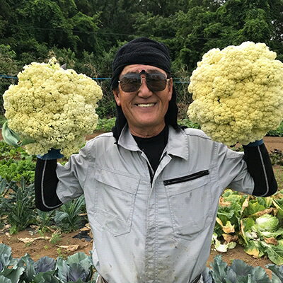 【ふるさと納税】伊豆メディカル農園の健康野菜セット【配送不可地域：離島・北海道・沖縄県】【1047533】